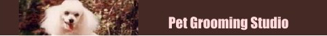 pet grooming salon in Toronto